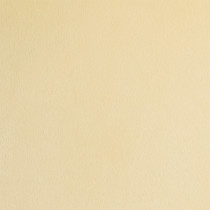 "PEPPY" Плюш PEV ФАСОВКА 48 x 48 см 273 г/ кв. м 100% полиэстер 22 св. желтый