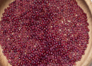 Бисер Япония круглый 11/0 10г 0332 малиновый, золотое сияние