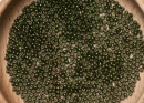 Бисер Япония круглый 11/0 10г 0333 папоротник, золотое сияние